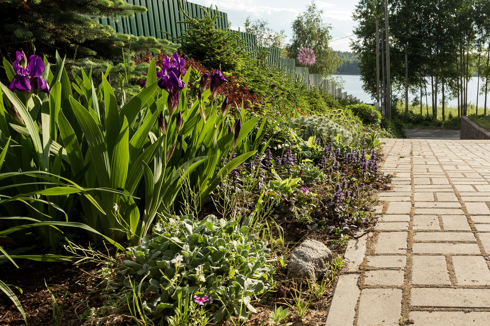 Ландшафт участка загородного дома (Маткачи)