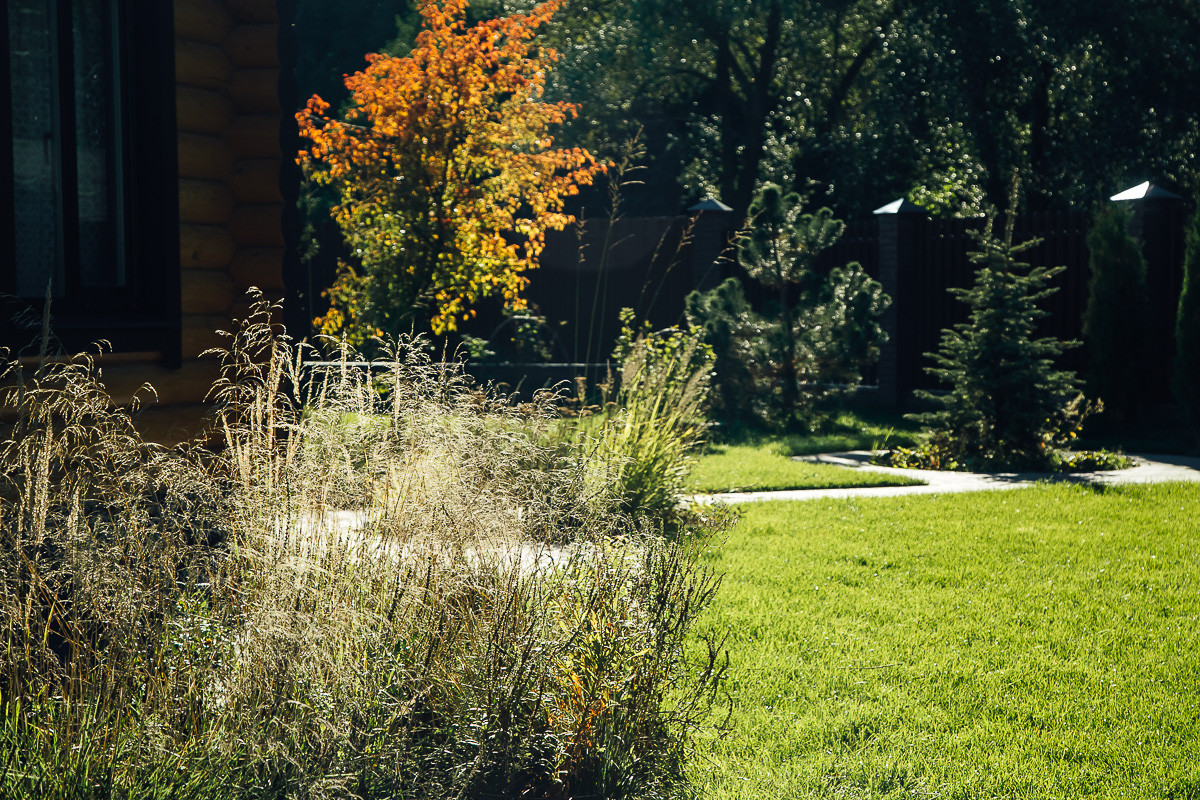 Русские Забавы