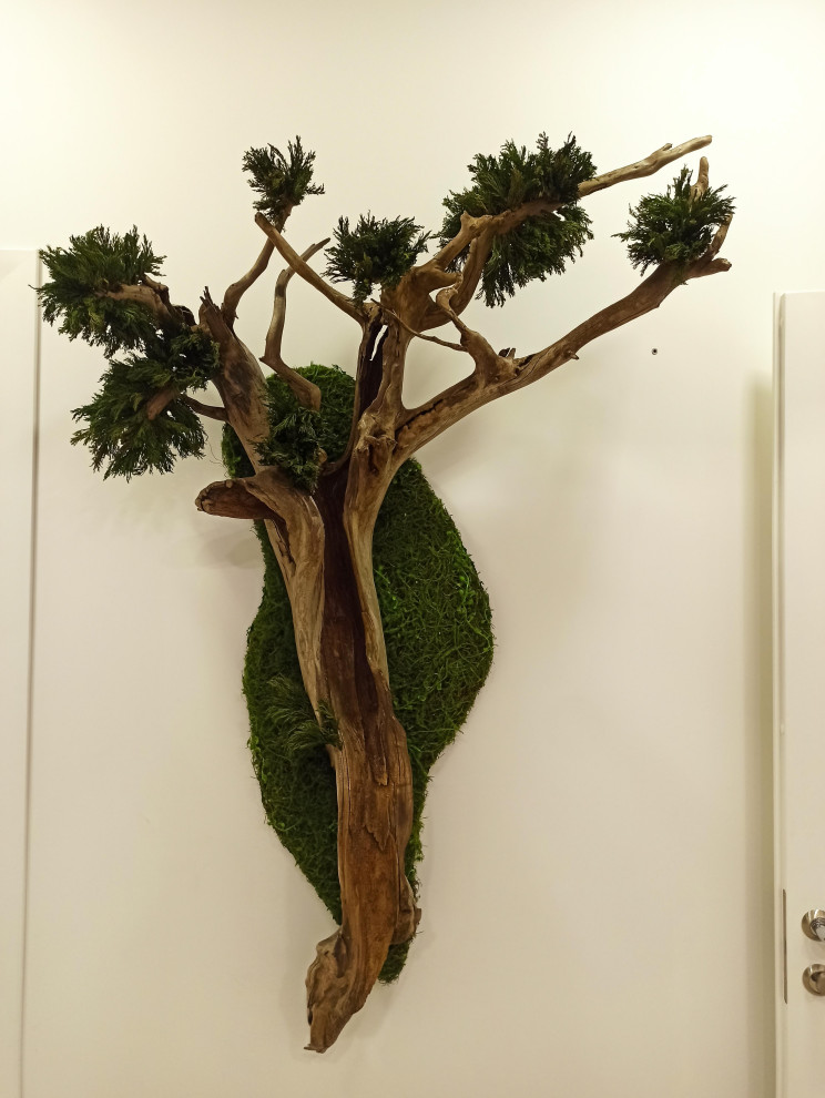 Обложка проекта: Фигурный бонсай для частного дома