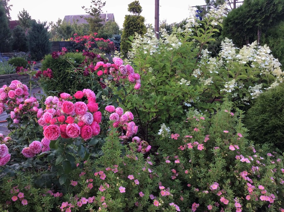 СНЫ О ЧЕМ_ТО БОЛЬШЕМ...