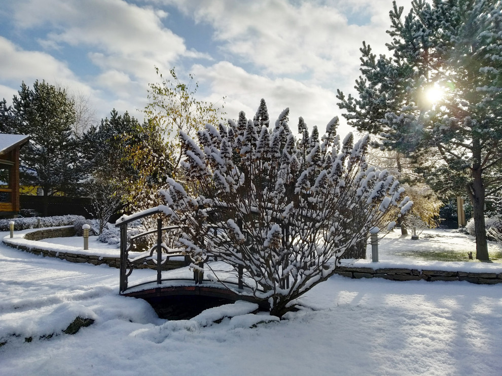 Просто фото: 20 садов в снегу