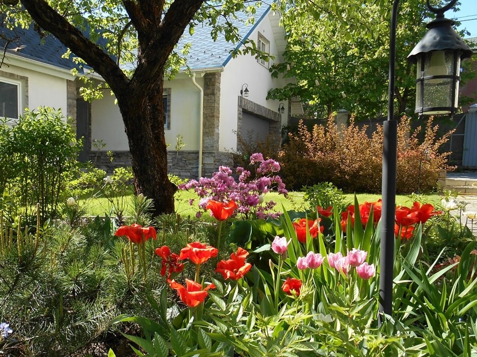 Минское шоссе. 22 сотки. Реконструкция сада.