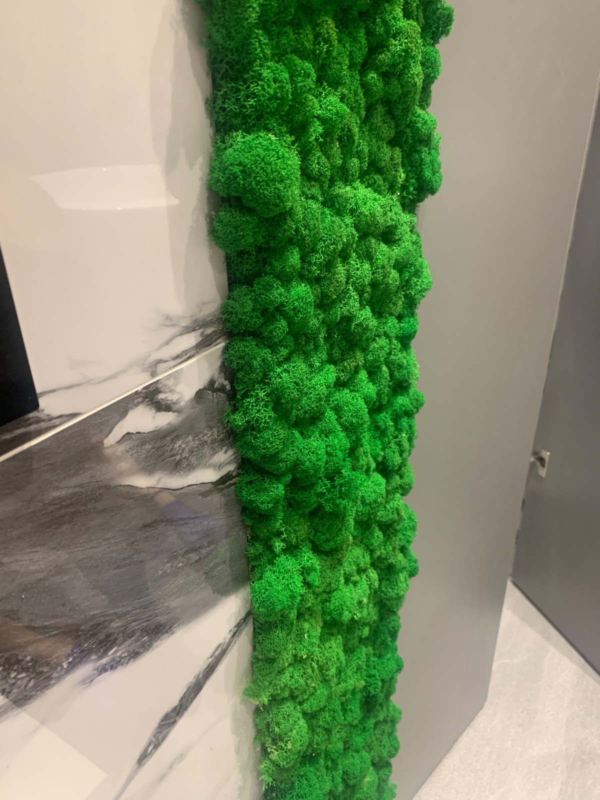 Обложка проекта: Озеленение без ухода - стабилизированный мох