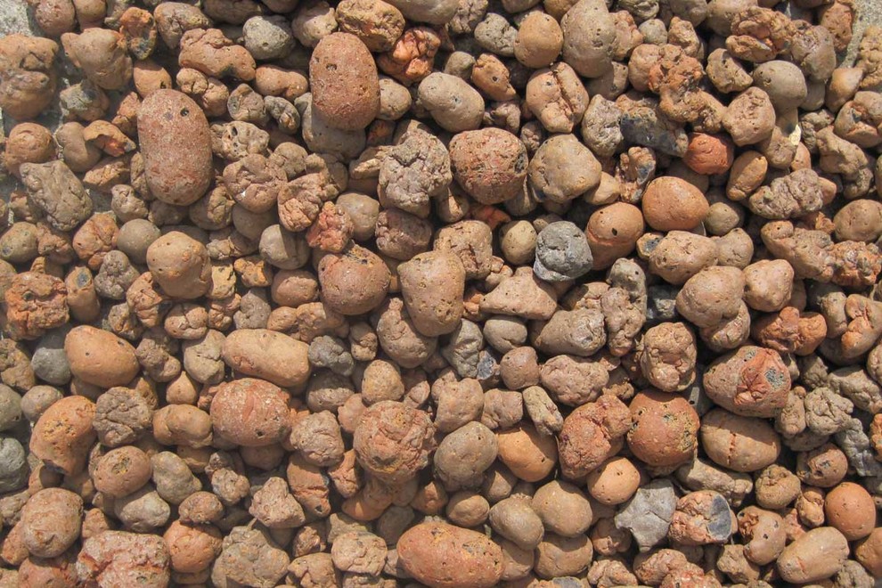 Азбука цветовода: Как выбрать фитомодуль для вертикального сада