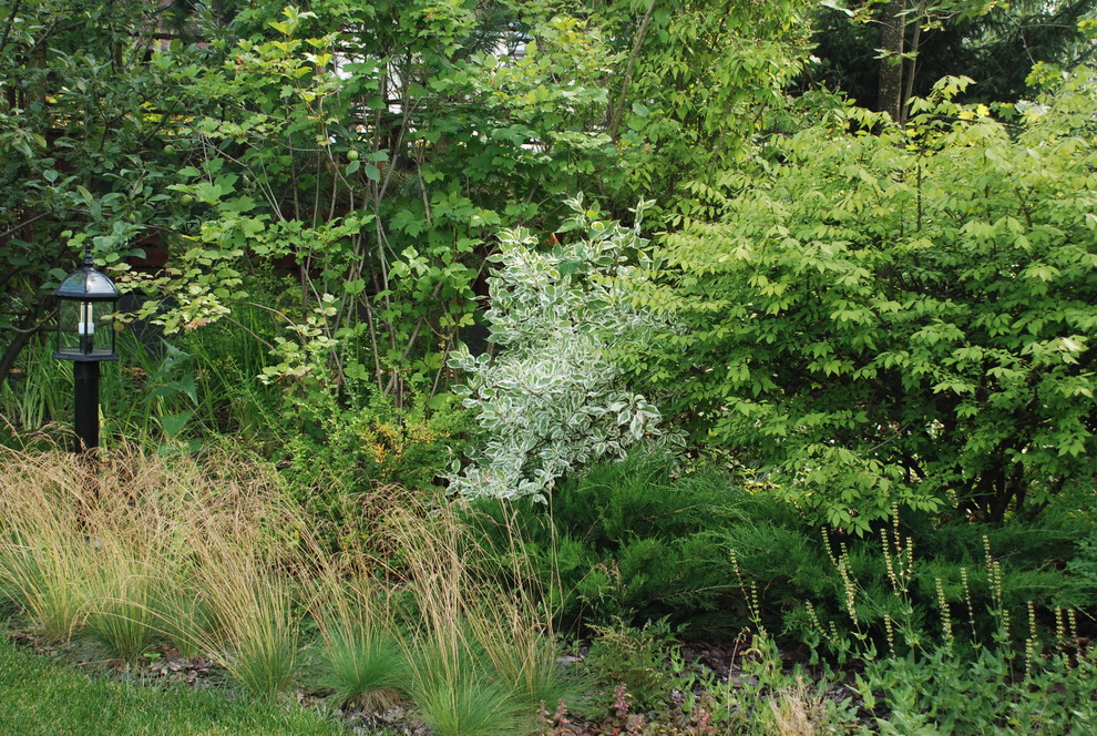 Современный сад в КП "Променад"