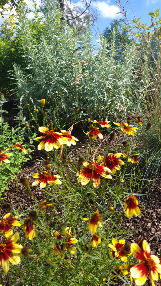 Цветники и композиции крупным планом