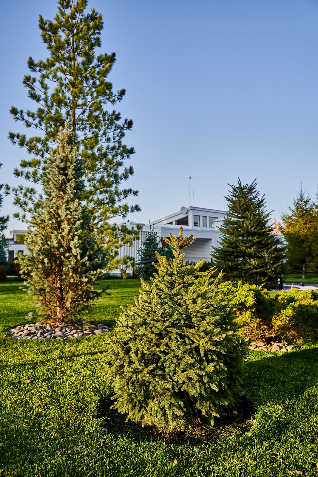 Участок с мужским характером