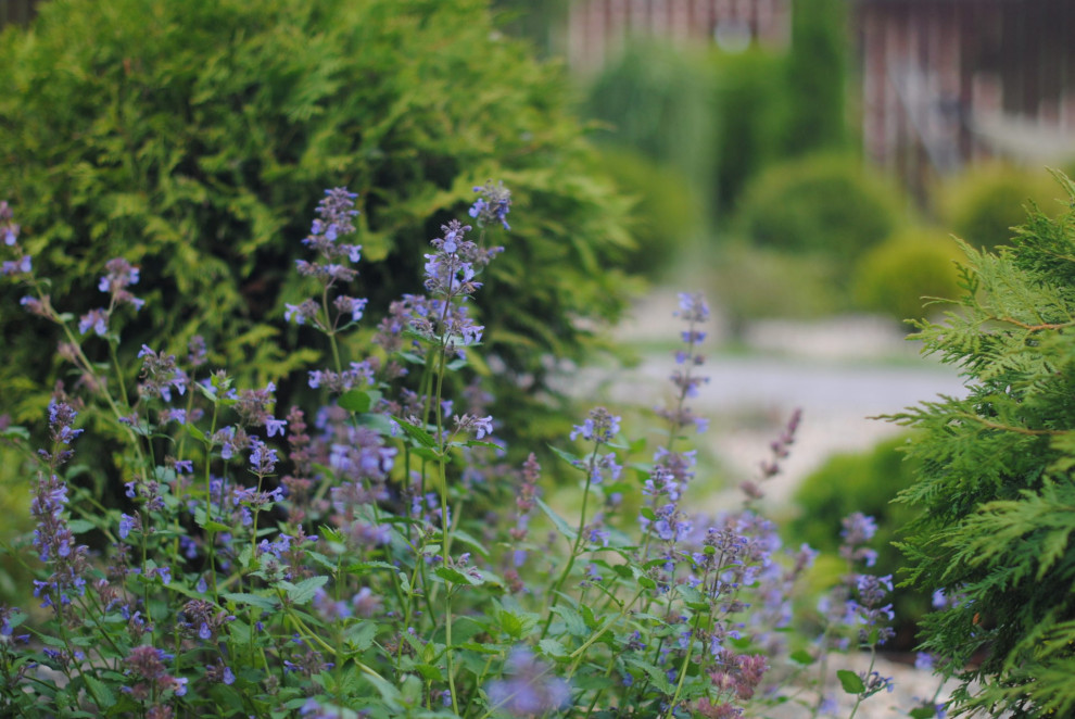 Чистые ключи