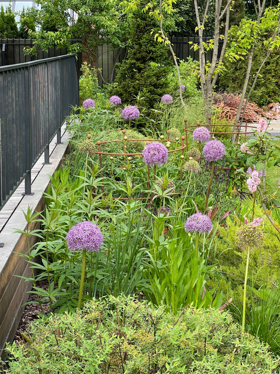 Английская история