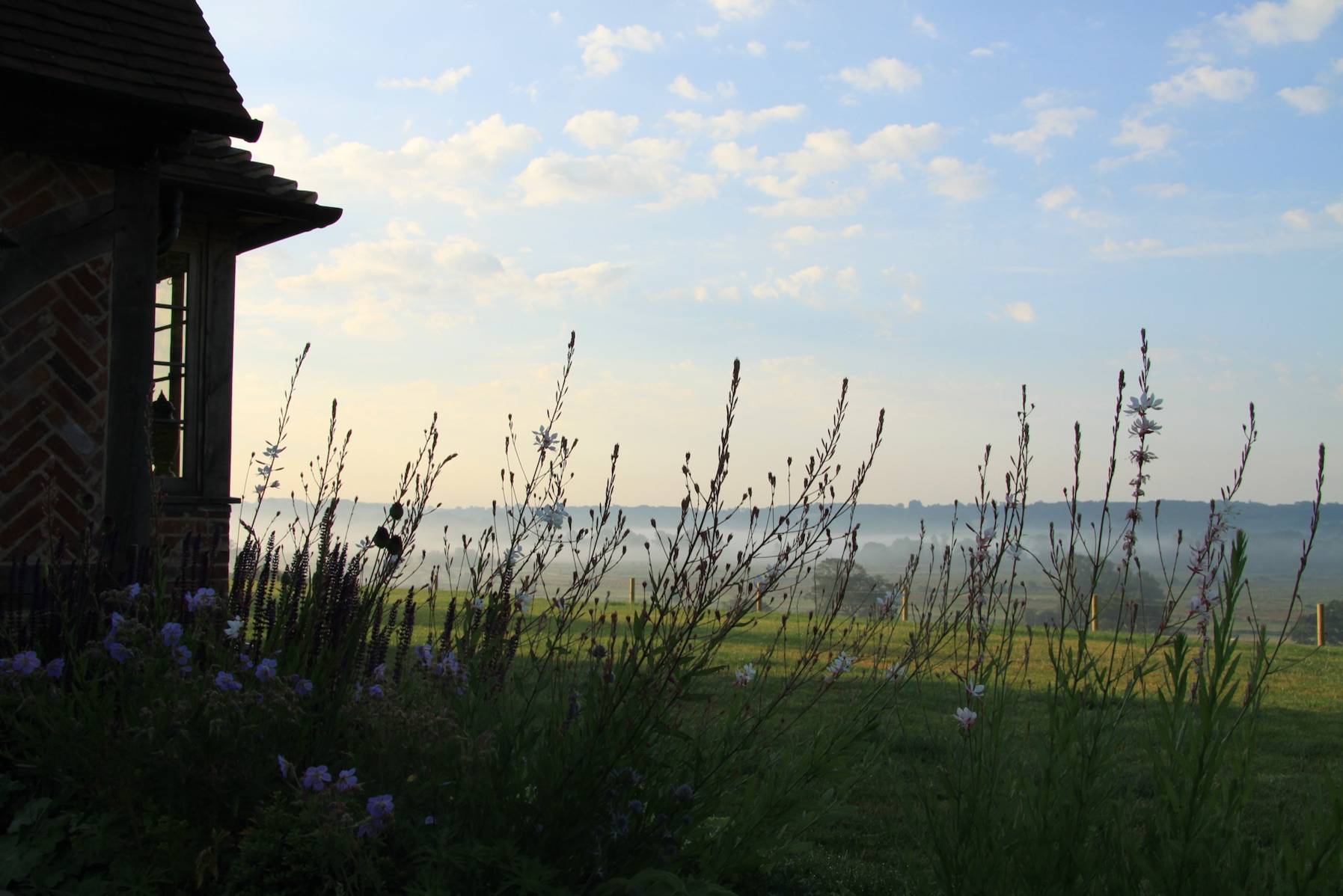 Сила трав: Календарь садовода на июнь