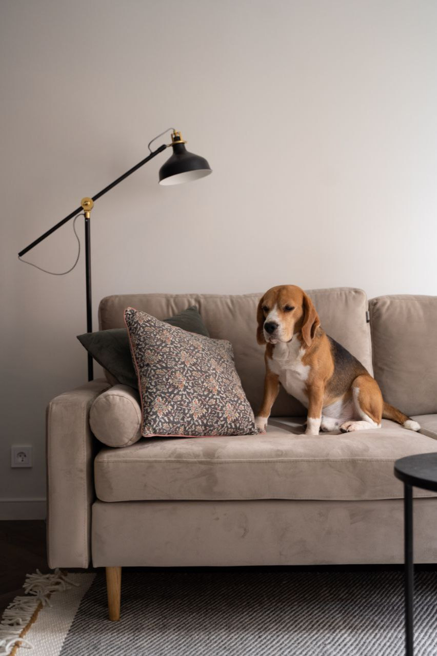 Луговой дом