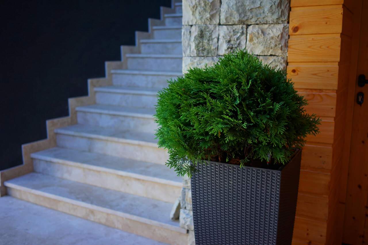 Обложка проекта: Лазурный Берег Сочи