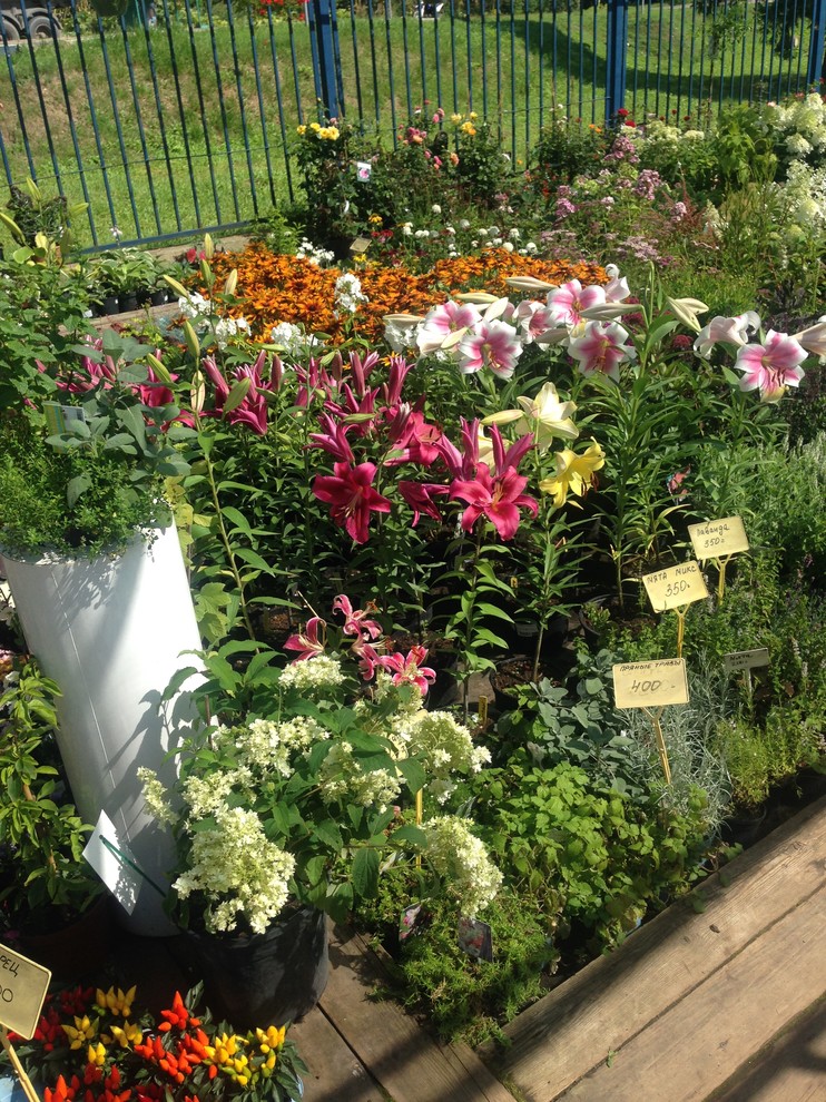 Наша продукция