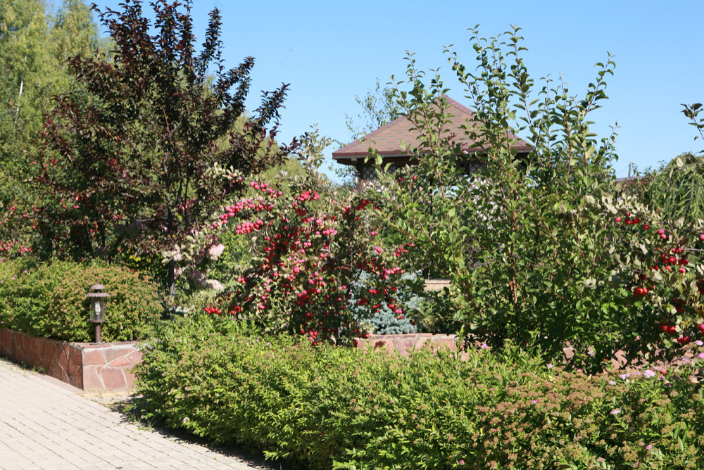 Наши работы