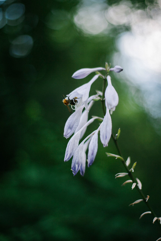 В гостях: «Теория комнат» в саду декоратора Анны Муравиной