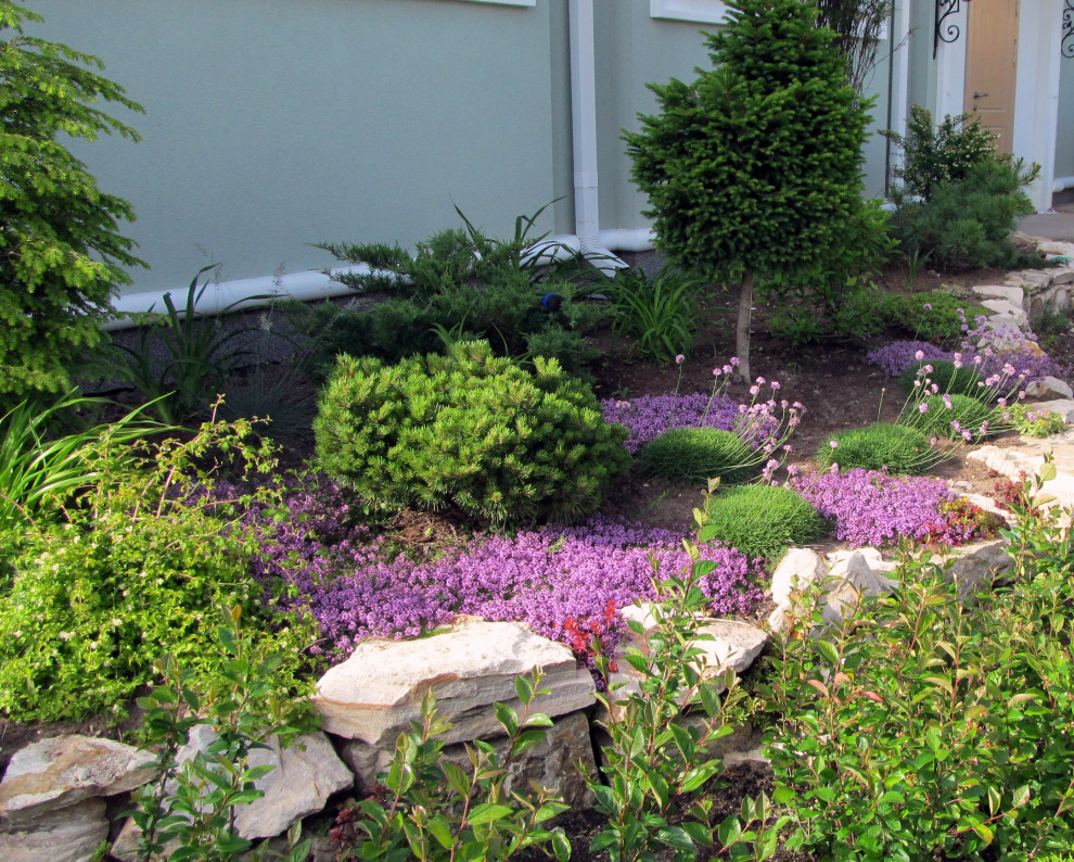 Тимьяны, армерия , камень и немного хвойных