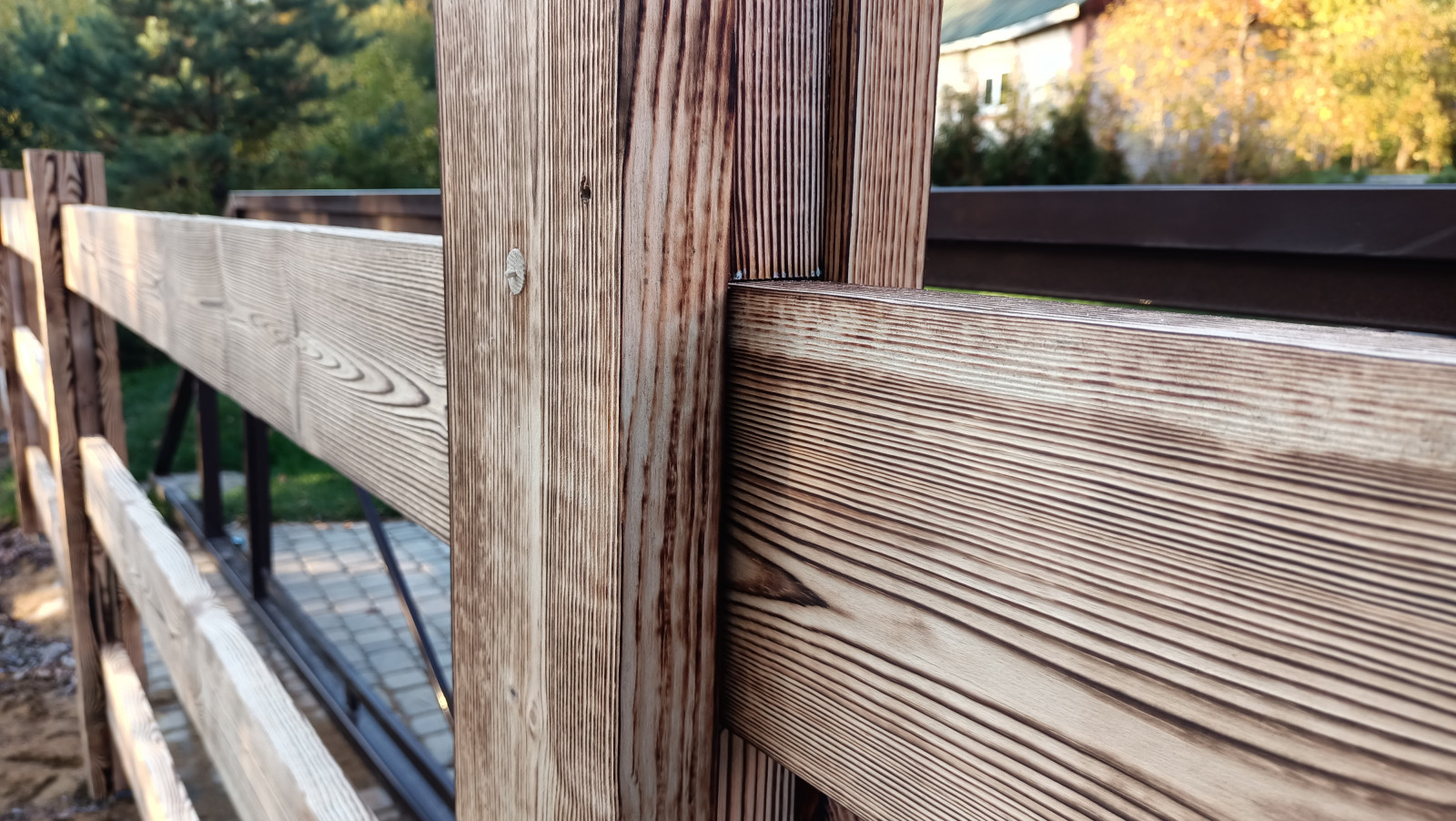 Лесная сказка в Мичуринском