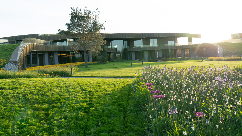 Природный сад. Жуковка XXI век. 2017-2018 гг.