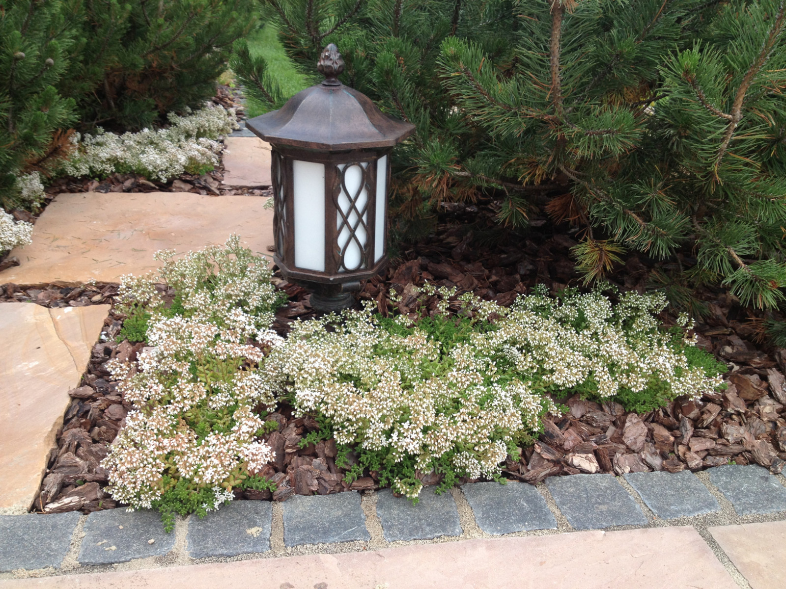 От знакомства до последнего цветника 6 месяцев