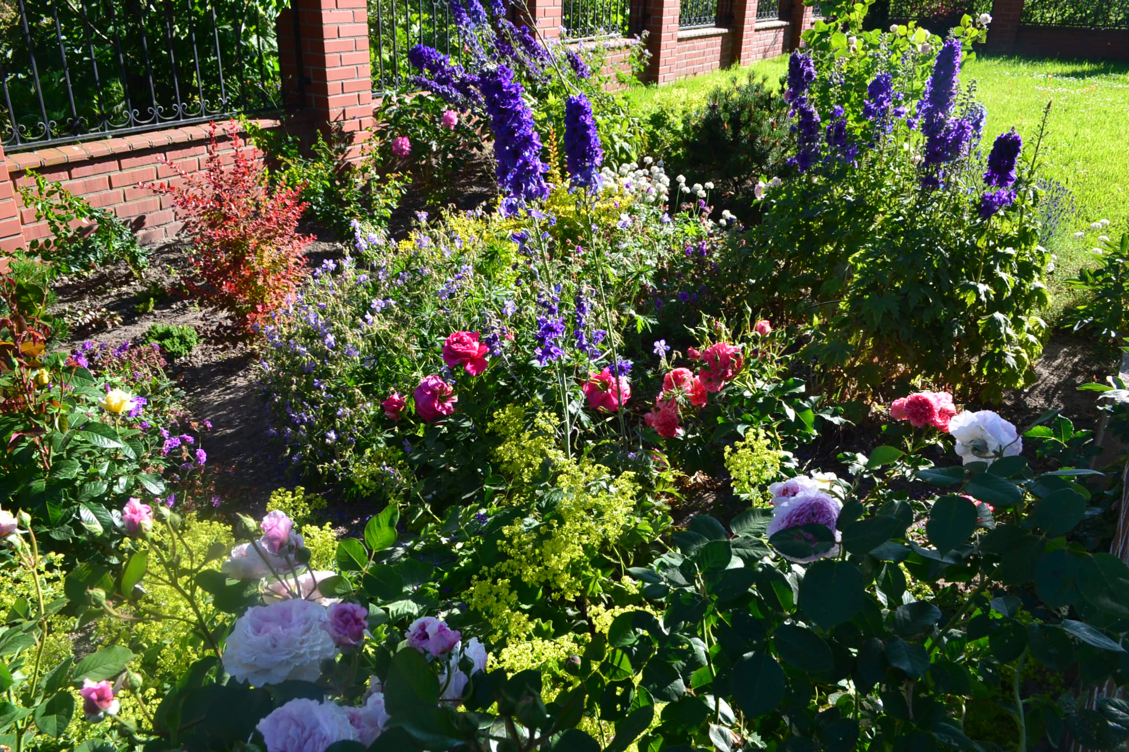 Проект недели: «Сад парфюмера» под Калининградом