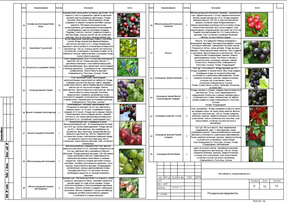 Ландшафтное проектирование