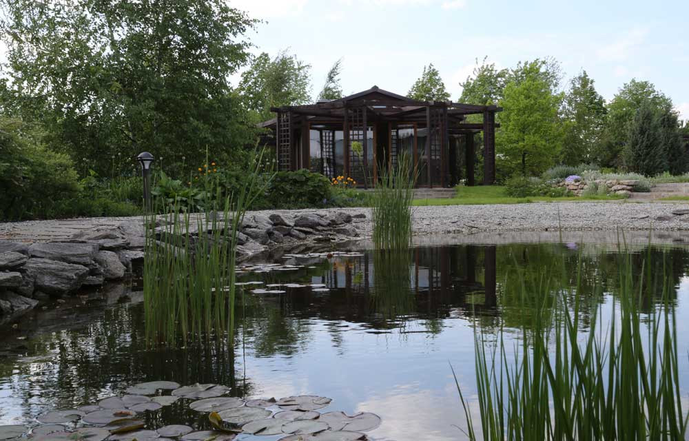 В центре круга