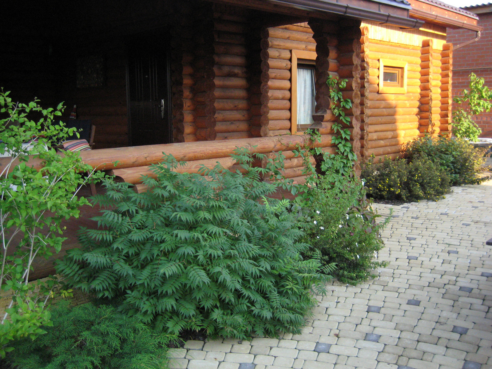 250 квадратных метров между домом и баней