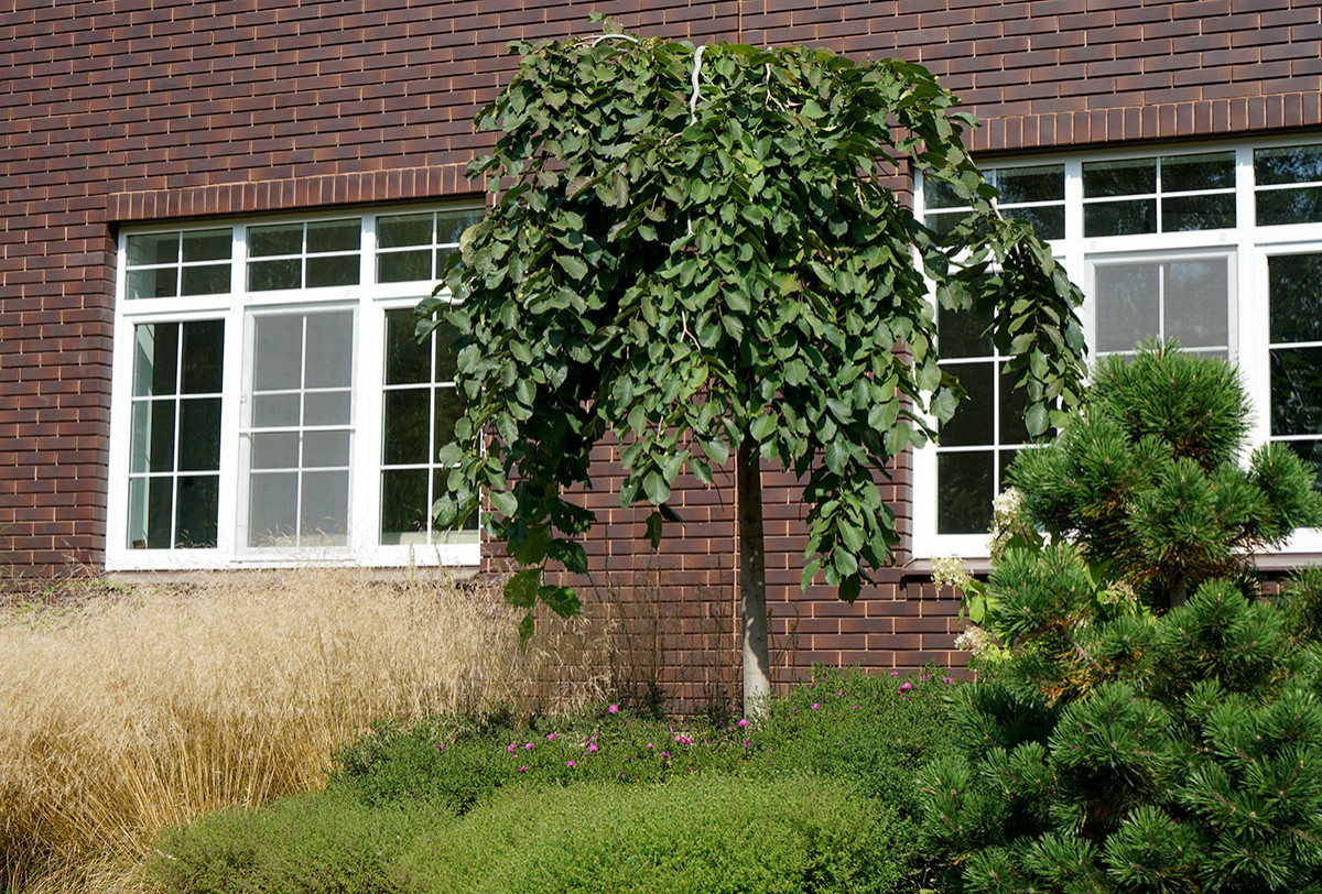 Маленькая усадьба