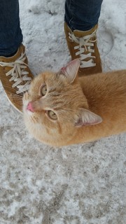 Ольга Бондаренко