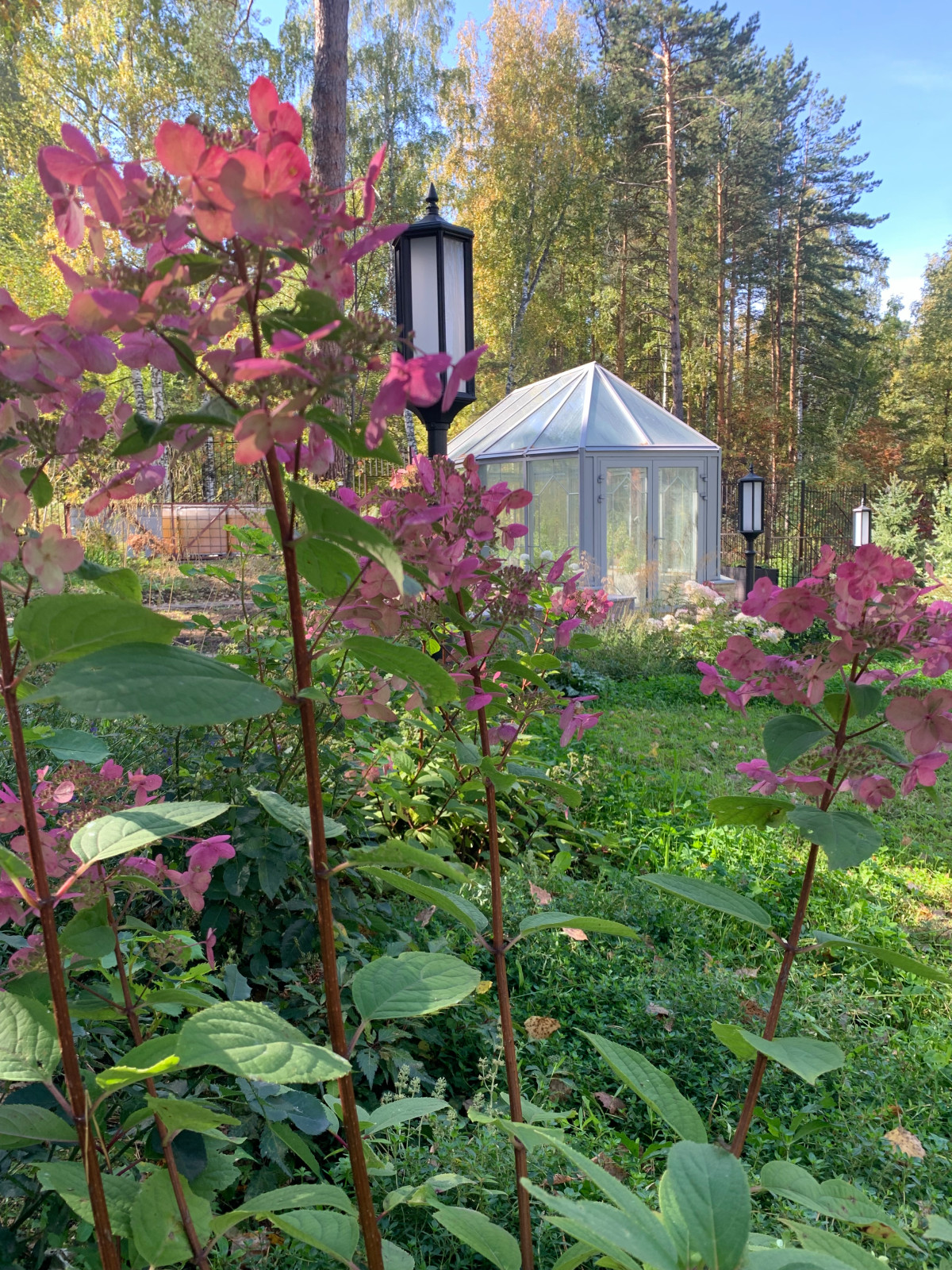 Обложка проекта: Прованс