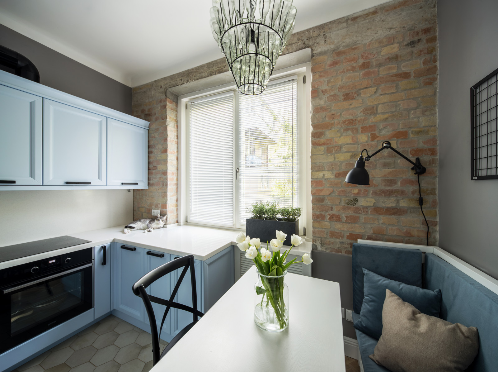 Квартира с котом