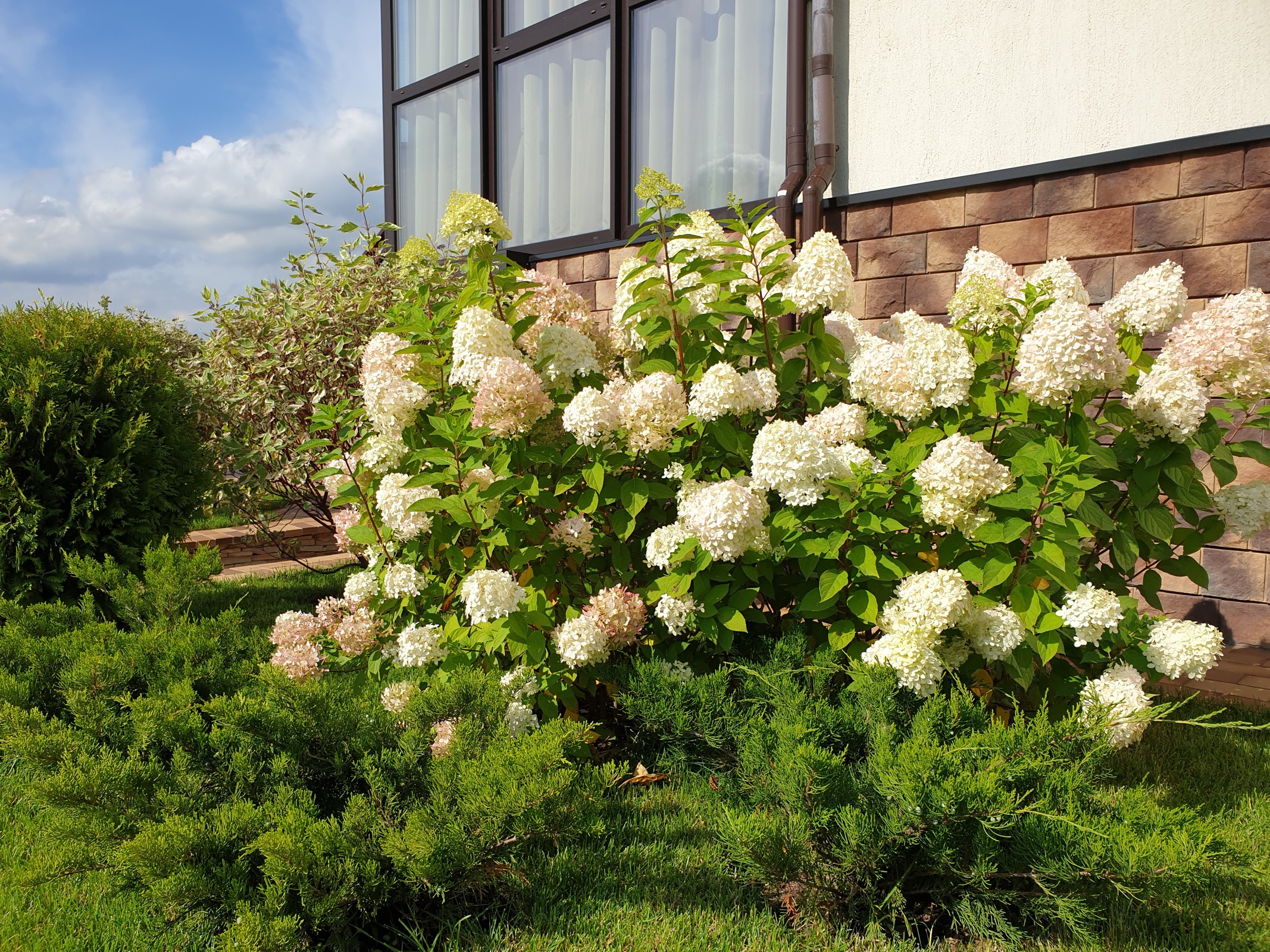 Проект участка с террасированием.