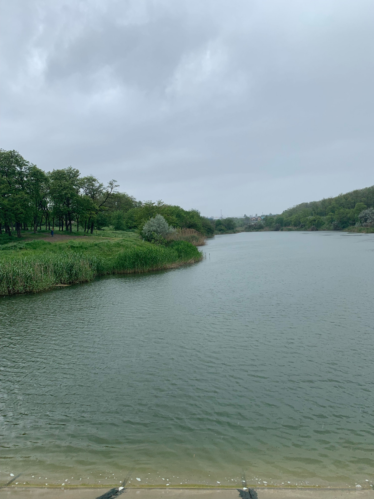 Баса отдыха. Кумжинской роща, берег Дона