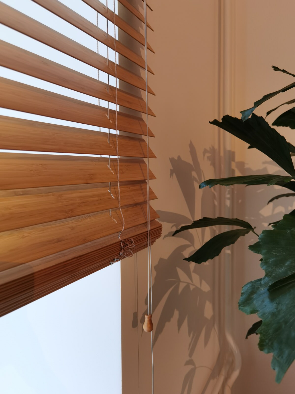 Особняк в историческом центре