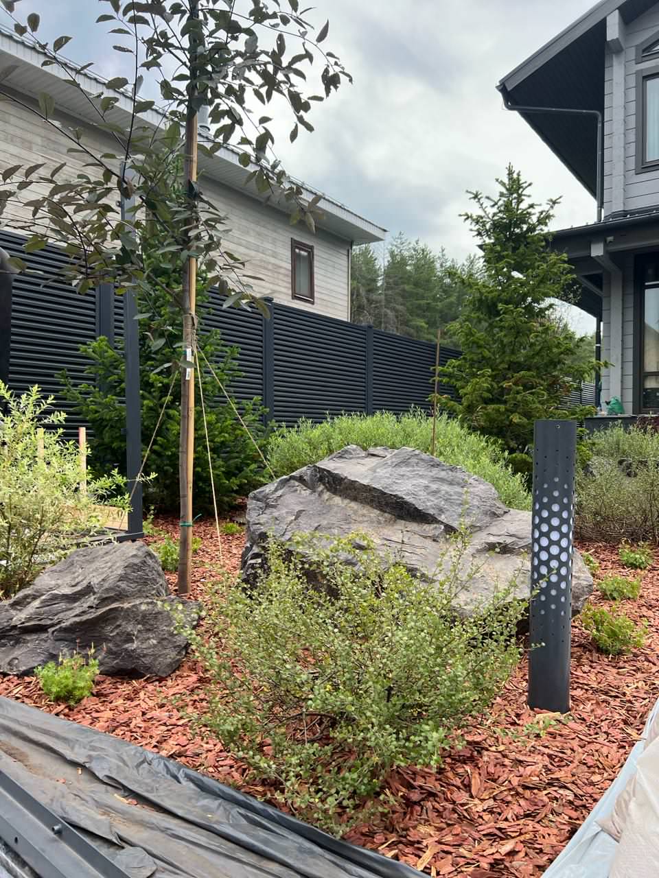 Дыхание севера