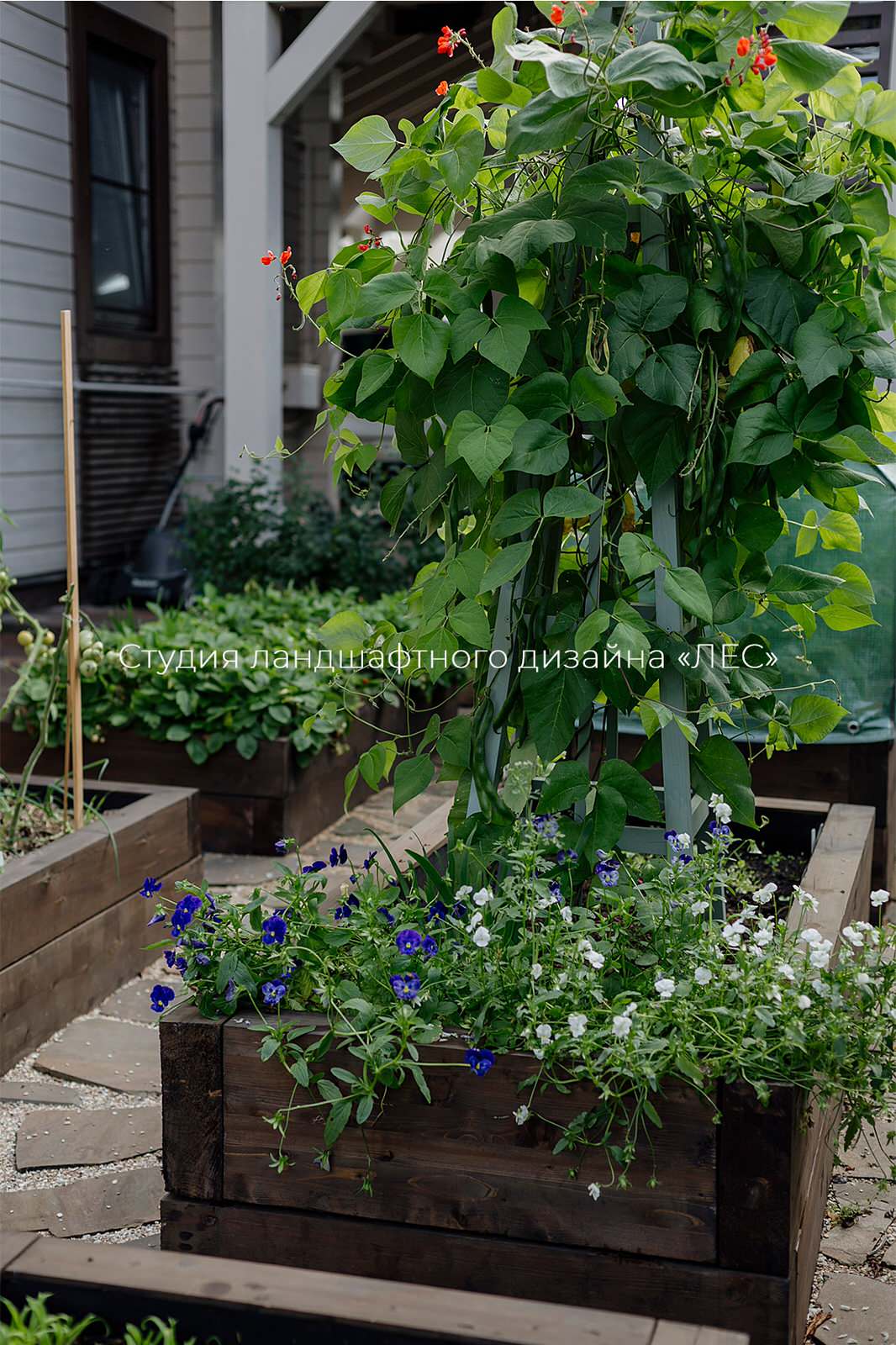 КП "БРУСЛАНДИЯ"