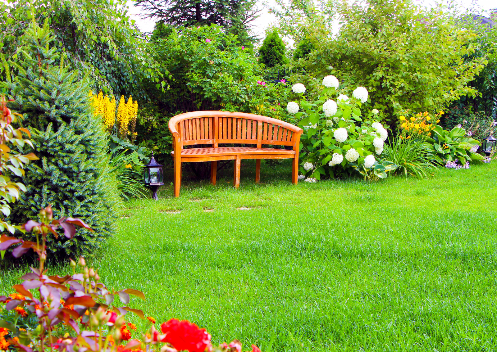 Новые Вешки