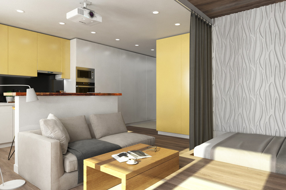 Эко-проект в современном стиле (38 кв.м).