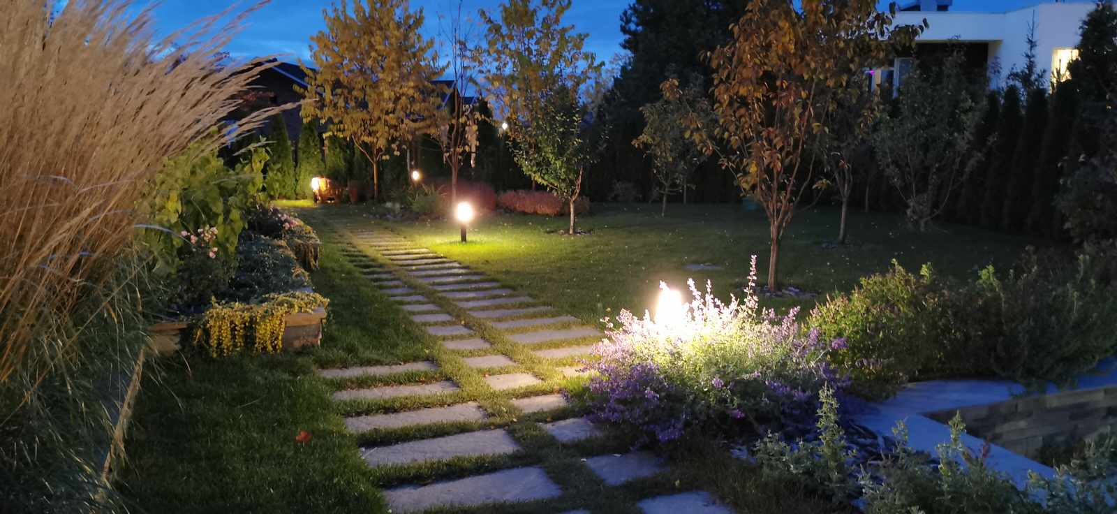 Благоустройство участка 20 соток в КП Пестово