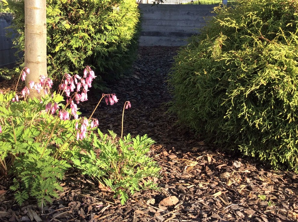 ПОЛЕТ ШМЕЛЯ