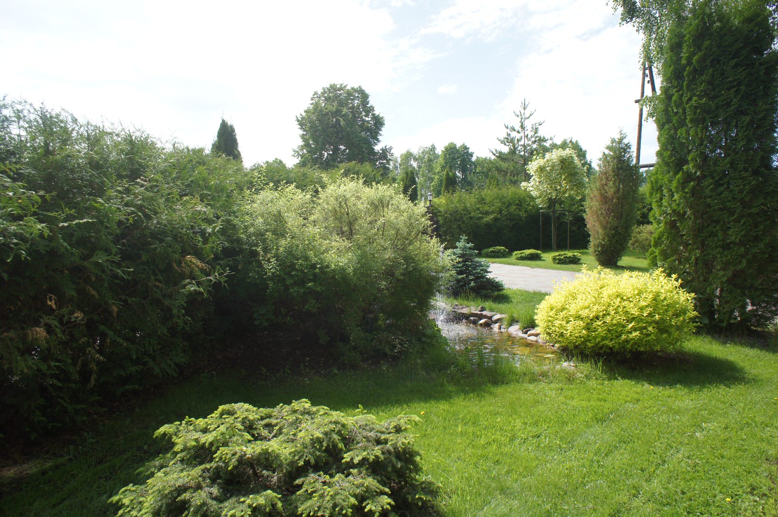 Обложка проекта: Деревенский сад