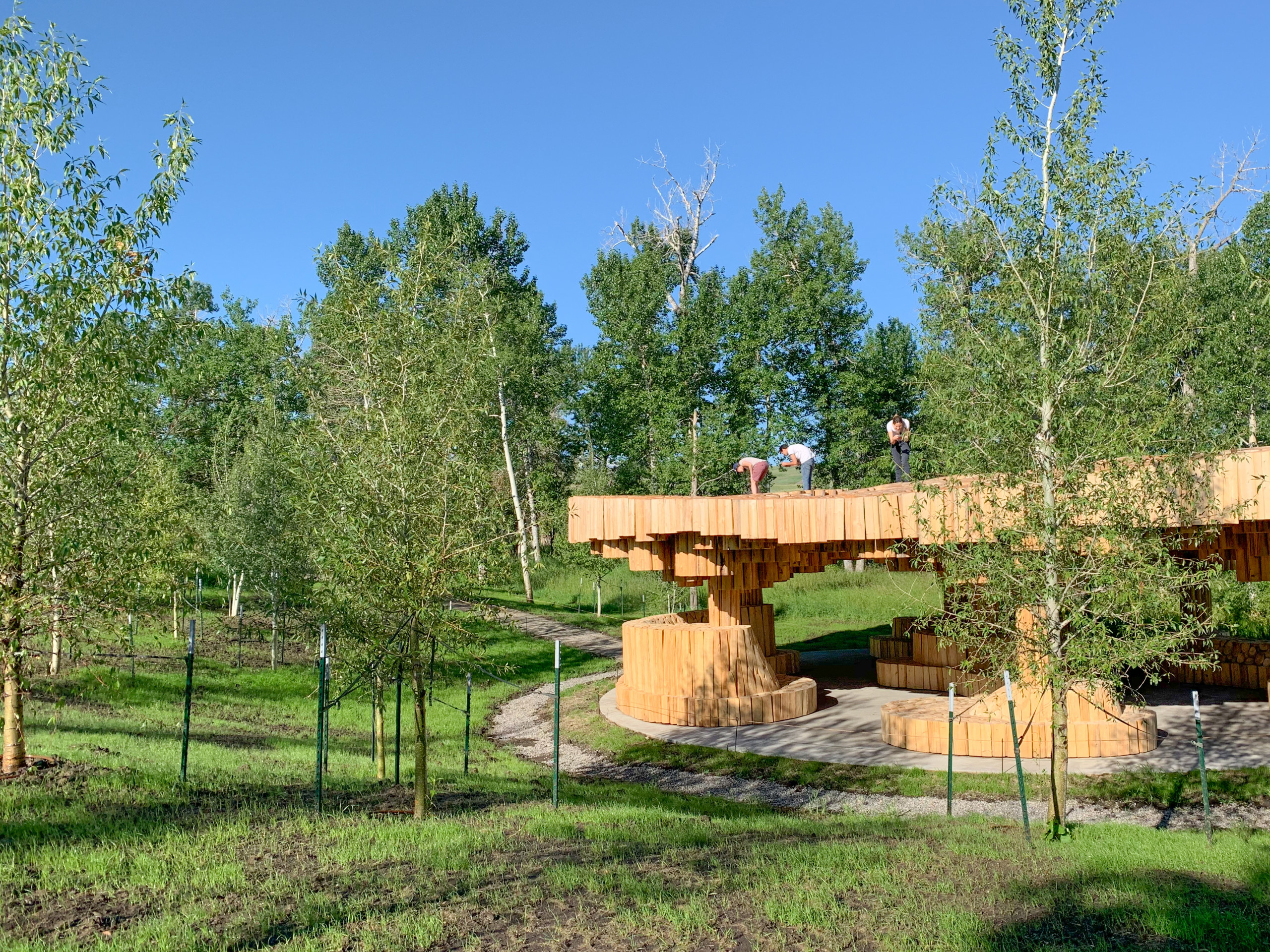 Архитектура: Лауреат Притцкеровской премии 2022 — Франсис Кере