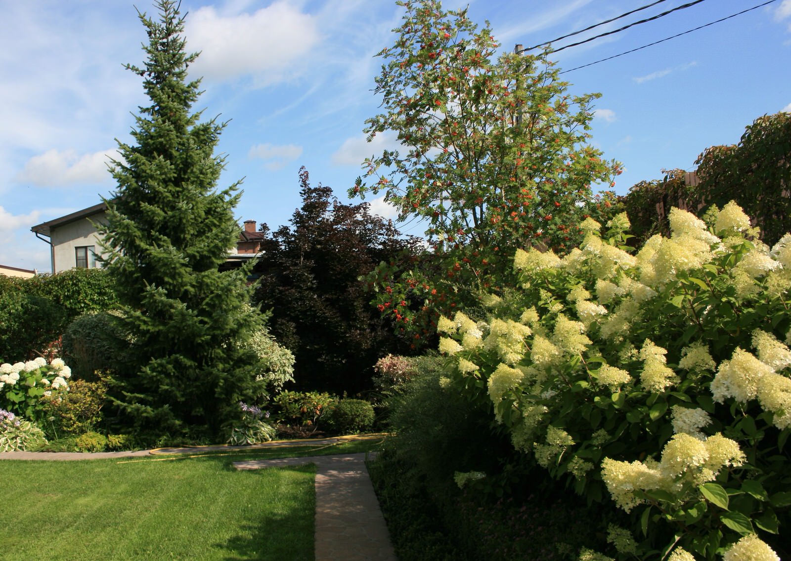 Сад в Летово