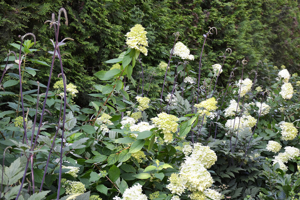 Современный сад в КП "Бенилюкс" вилла 2