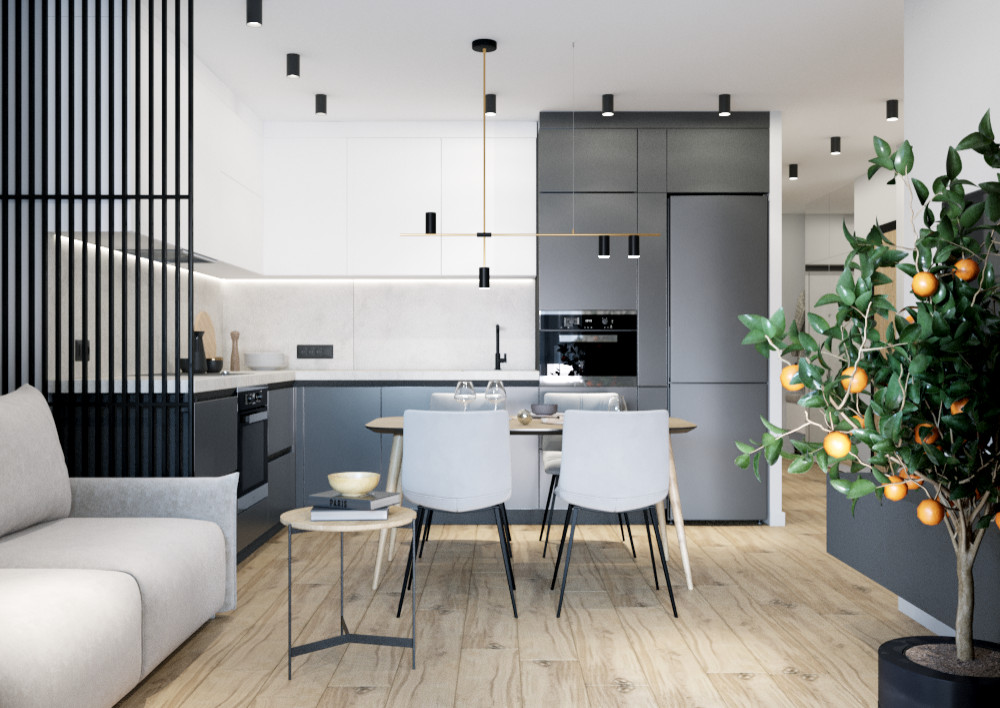 Кухня-гостиная