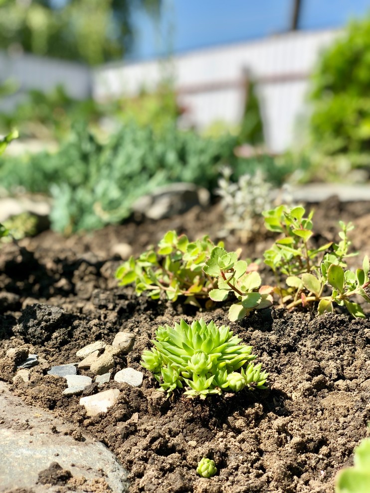 Привет, станица!