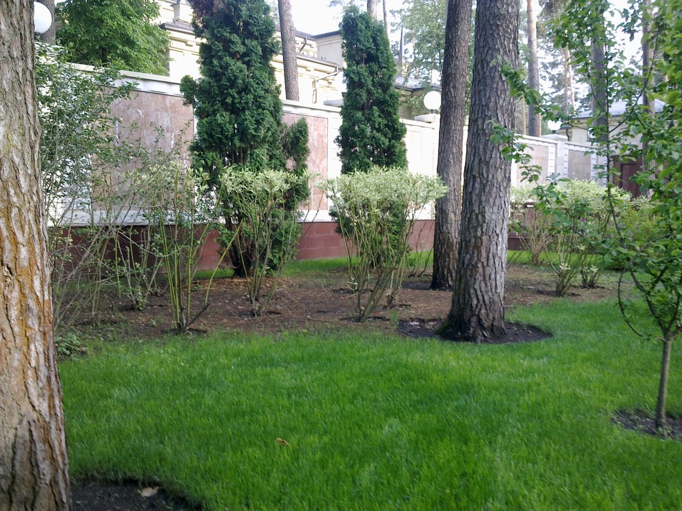 Ландшафтный дизайн 40 соток