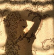 Арель Сабврова