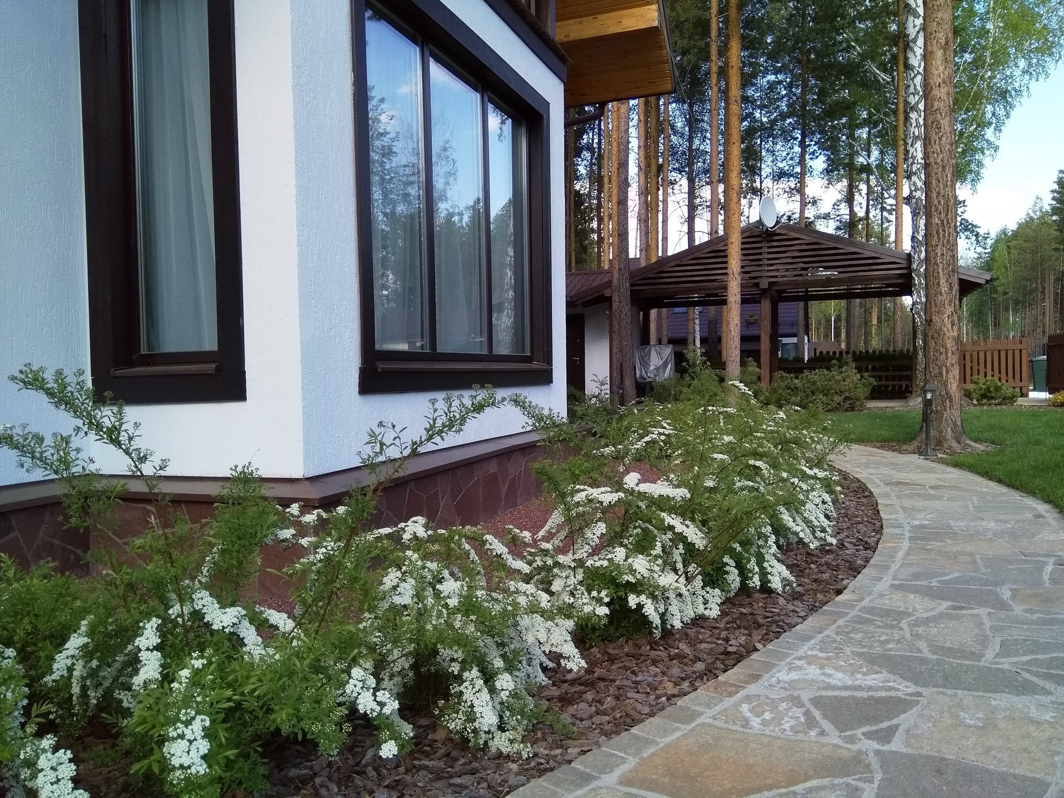 У леса на опушке