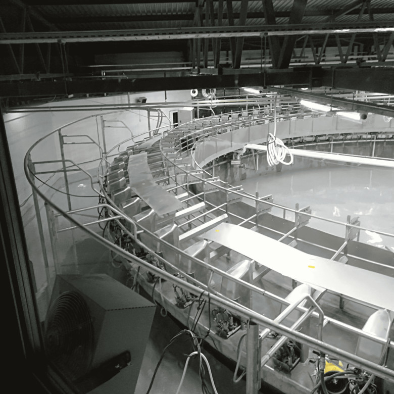 Обложка проекта: Полы на молочном производстве